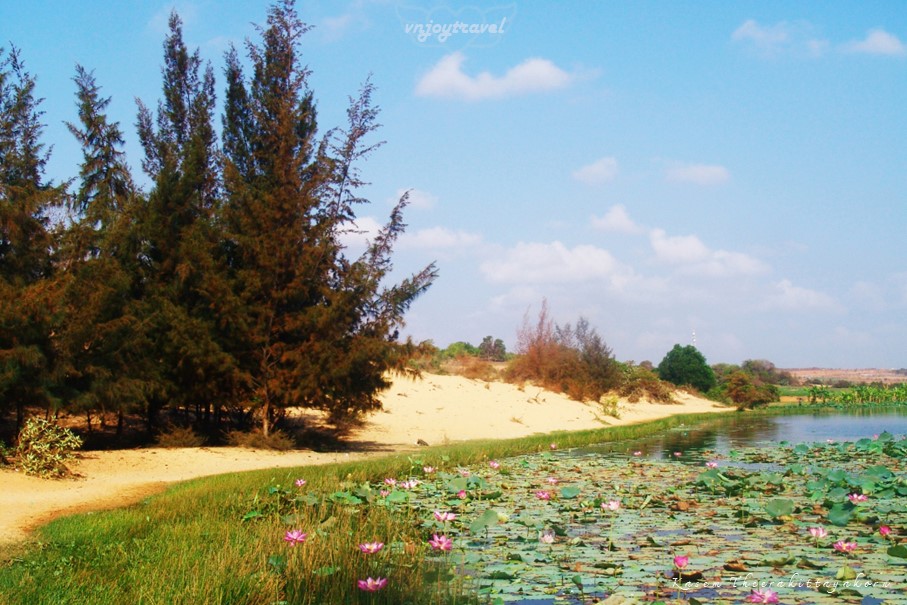 เที่ยวเวียดนาม vnjoytravel vietham บิ่นห์ถ่วน หมูยแน้ มุยเน่ Binh Thuan Mui Ne Muine ทะเลสาบเบ่าจั๋ง bau trang lake