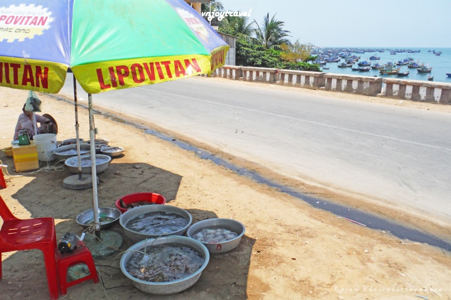 เที่ยวเวียดนาม vnjoytravel vietham บิ่นห์ถ่วน หมูยแน้ มุยเน่ Binh Thuan Mui Ne Muine หมู่บ้านชาวประมง fishing village