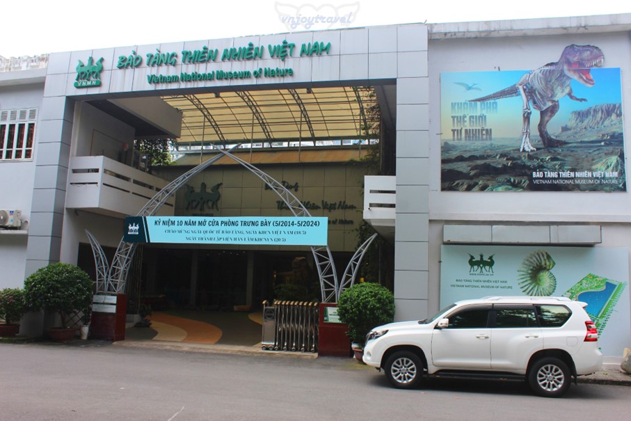 เที่ยวเวียดนาม vnjoytravel vietham ฮานอย Hanoi พิพิธภัณฑ์ธรรมชาติวิทยา National Museum of Nature