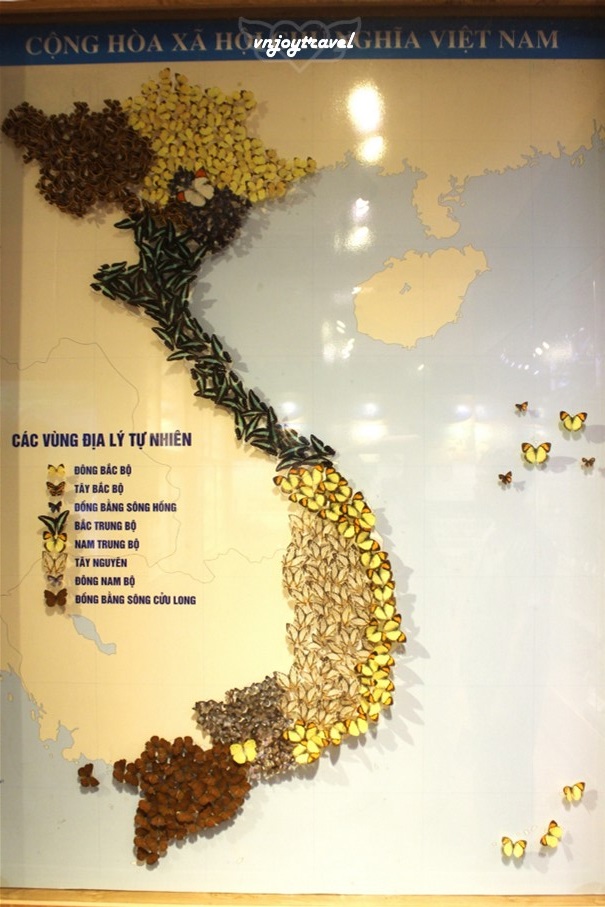 เที่ยวเวียดนาม vnjoytravel vietham ฮานอย Hanoi พิพิธภัณฑ์ธรรมชาติวิทยา National Museum of Nature
