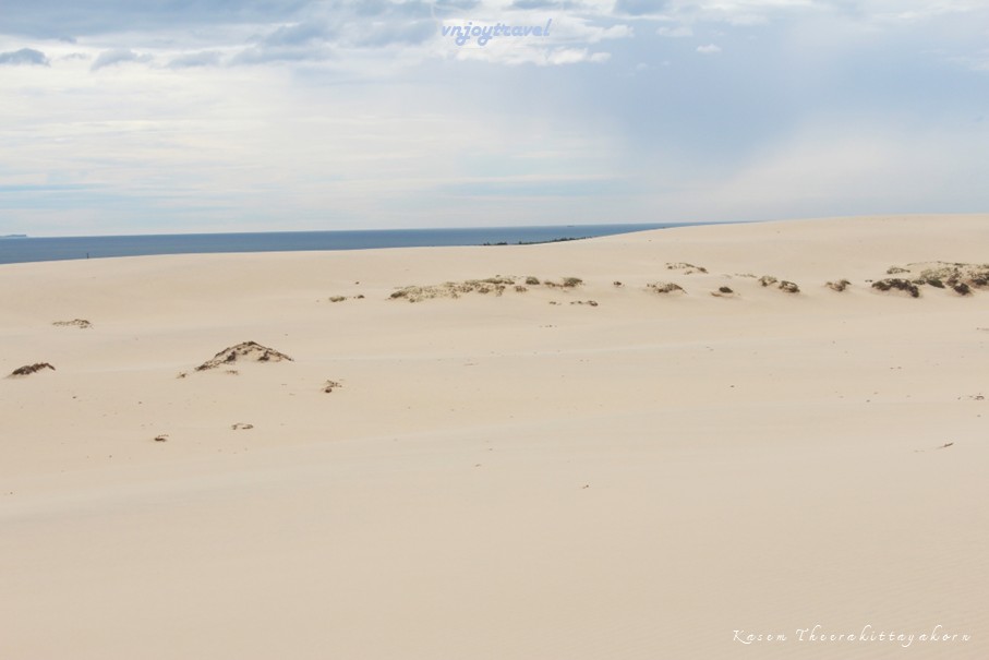 เที่ยวเวียดนาม vnjoytravel vietnam กว๋างจิ  Quang Tri ทะเลทราย เนินทรายหวินห์จุง doit cat vinh trung sand dune desert
