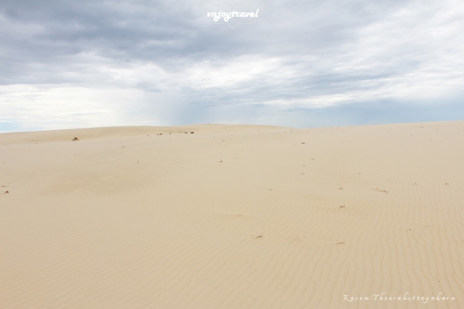 เที่ยวเวียดนาม vnjoytravel vietnam กว๋างจิ  Quang Tri ทะเลทราย เนินทรายหวินห์จุง doit cat vinh trung sand dune desert