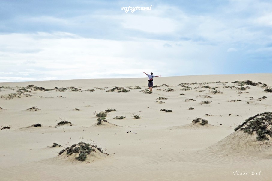 เที่ยวเวียดนาม vnjoytravel vietnam กว๋างจิ  Quang Tri ทะเลทราย เนินทรายหวินห์จุง doit cat vinh trung sand dune desert