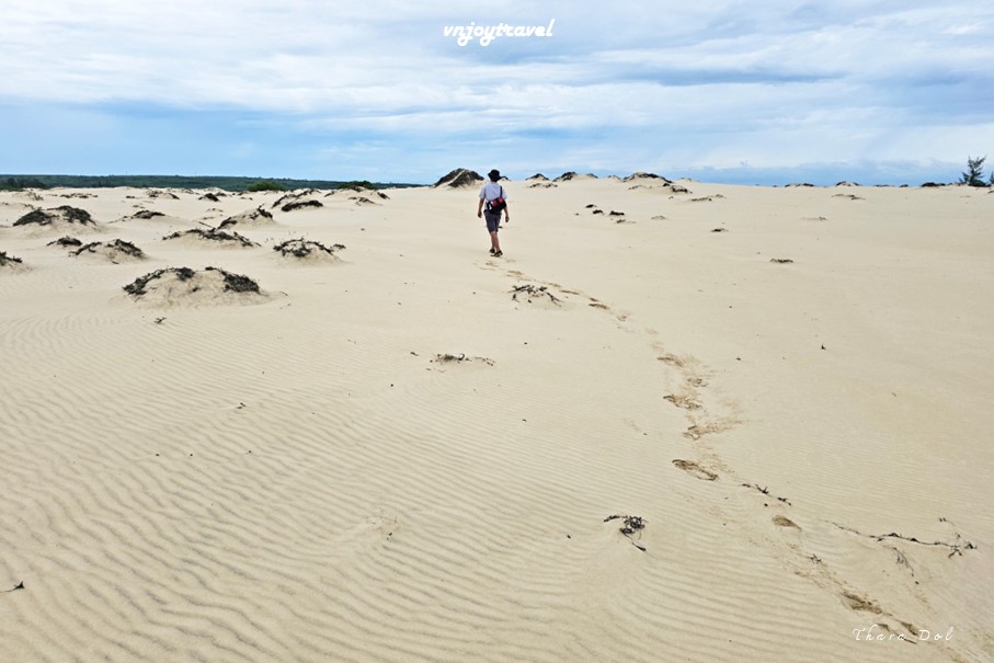 เที่ยวเวียดนาม vnjoytravel vietnam กว๋างจิ  Quang Tri ทะเลทราย เนินทรายหวินห์จุง doit cat vinh trung sand dune desert