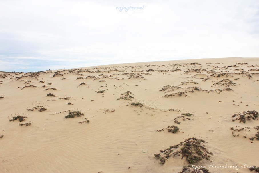 เที่ยวเวียดนาม vnjoytravel vietnam กว๋างจิ  Quang Tri ทะเลทราย เนินทรายหวินห์จุง doit cat vinh trung sand dune desert