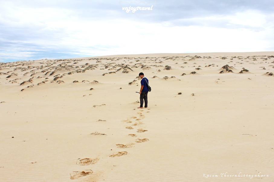 เที่ยวเวียดนาม vnjoytravel vietnam กว๋างจิ  Quang Tri ทะเลทราย เนินทรายหวินห์จุง doit cat vinh trung sand dune desert
