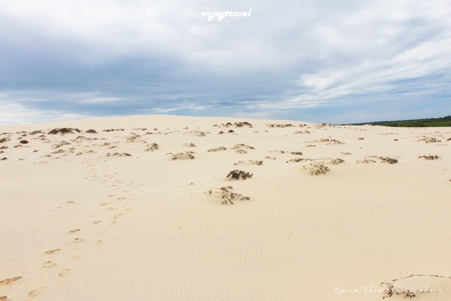 เที่ยวเวียดนาม vnjoytravel vietnam กว๋างจิ  Quang Tri ทะเลทราย เนินทรายหวินห์จุง doit cat vinh trung sand dune desert