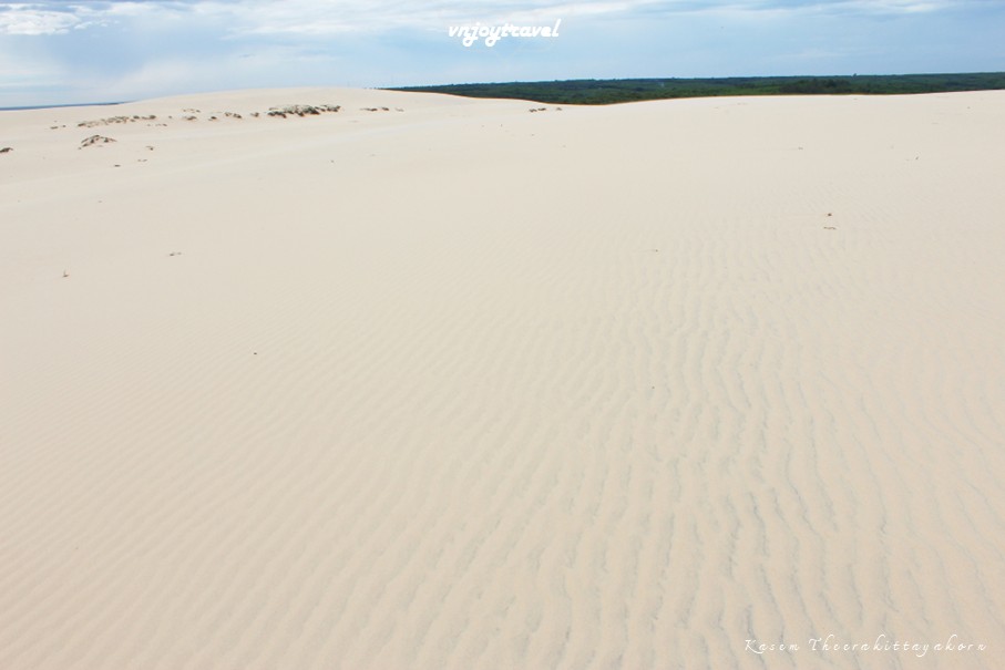 เที่ยวเวียดนาม vnjoytravel vietnam กว๋างจิ  Quang Tri ทะเลทราย เนินทรายหวินห์จุง doit cat vinh trung sand dune desert