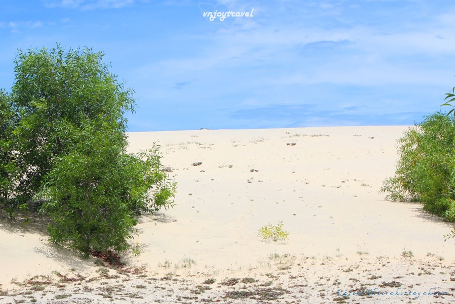 เที่ยวเวียดนาม vnjoytravel vietnam กว๋างจิ Quang Tri ทะเลทราย เนินทรายซอถ่านห์ doi cat vang gio thanh sand dune desert