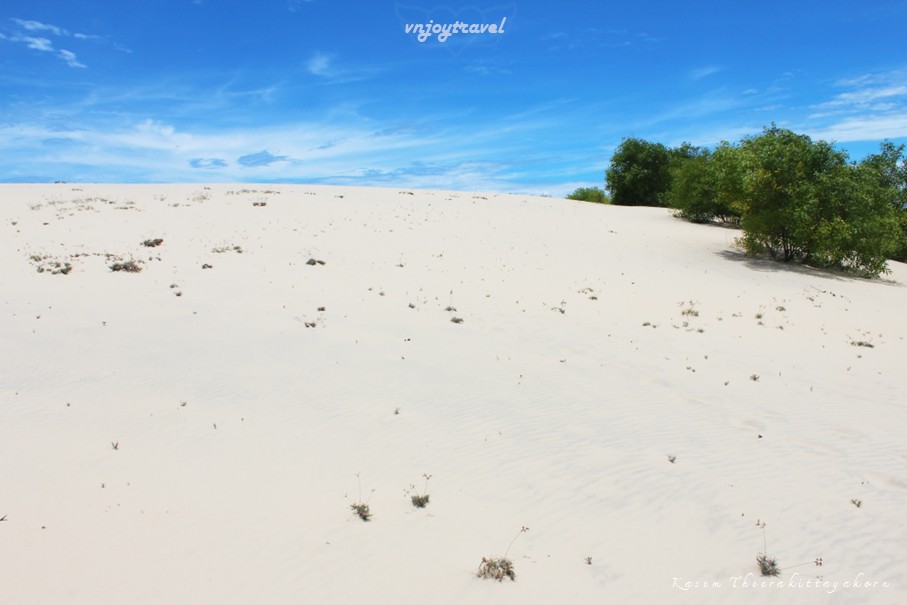 เที่ยวเวียดนาม vnjoytravel vietnam กว๋างจิ Quang Tri ทะเลทราย เนินทรายซอถ่านห์ doi cat vang gio thanh sand dune desert