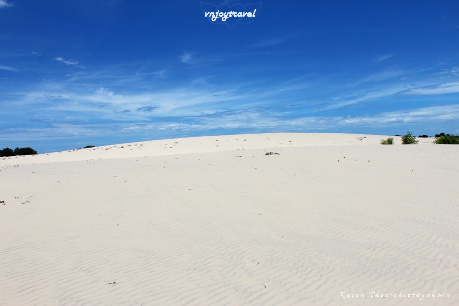 เที่ยวเวียดนาม vnjoytravel vietnam กว๋างจิ Quang Tri ทะเลทราย เนินทรายซอถ่านห์ doi cat vang gio thanh sand dune desert