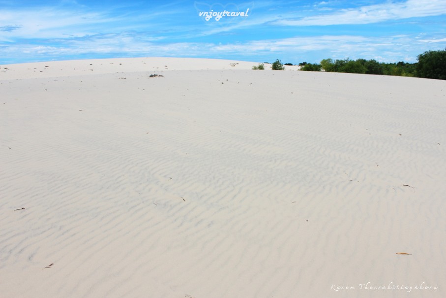 เที่ยวเวียดนาม vnjoytravel vietnam กว๋างจิ Quang Tri ทะเลทราย เนินทรายซอถ่านห์ doi cat vang gio thanh sand dune desert