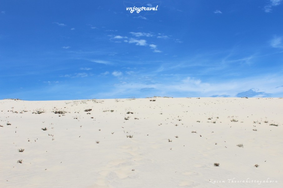 เที่ยวเวียดนาม vnjoytravel vietnam กว๋างจิ Quang Tri ทะเลทราย เนินทรายซอถ่านห์ doi cat vang gio thanh sand dune desert