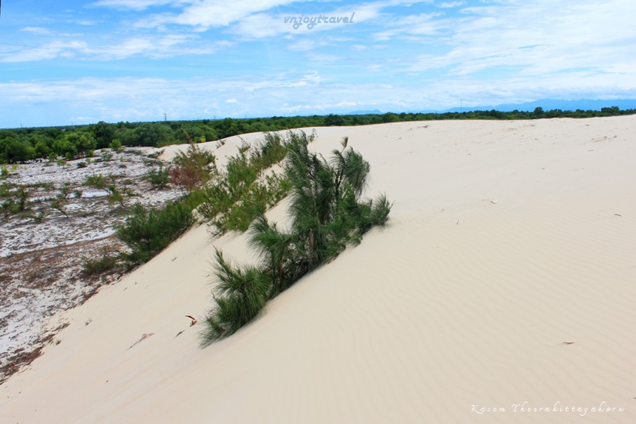 เที่ยวเวียดนาม vnjoytravel vietnam กว๋างจิ Quang Tri ทะเลทราย เนินทรายซอถ่านห์ doi cat vang gio thanh sand dune desert