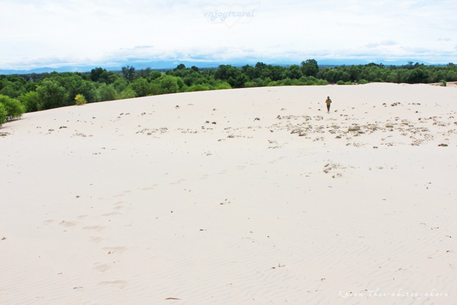 เที่ยวเวียดนาม vnjoytravel vietnam กว๋างจิ Quang Tri ทะเลทราย เนินทรายซอถ่านห์ doi cat vang gio thanh sand dune desert