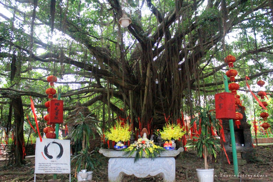 เที่ยวเวียดนาม vnjoytravel vietnam หวินห์ฟุก vinh phuc หวินห์เอียน  vinh yen วัดห่าเตียน chua ha tien pagoda