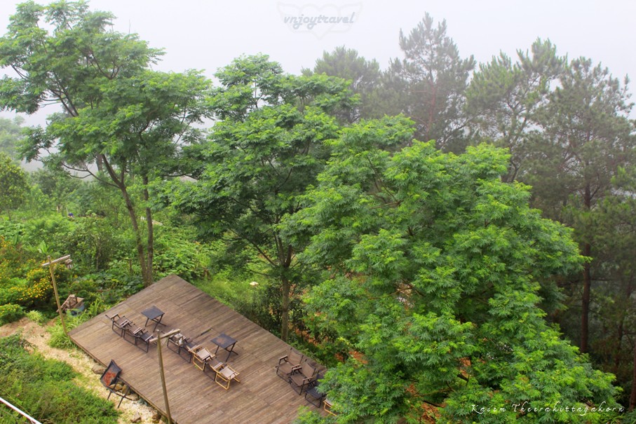 เที่ยวเวียดนาม vnjoytravel vietnam หวินห์ฟุก vinh phuc ตามด๋าว tam dao lala land คาเฟ่ cafe