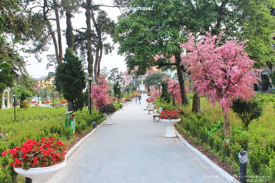 เที่ยวเวียดนาม vnjoytravel vietnam หวินห์ฟุก vinh phuc ตามด๋าว tam dao จัตุรัสตามด๋าว  quang truong tamdao square