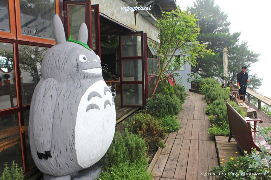 เที่ยวเวียดนาม vnjoytravel vietnam หวินห์ฟุก vinh phuc ตามด๋าว tam dao คาเฟ่ tiem cafe co la