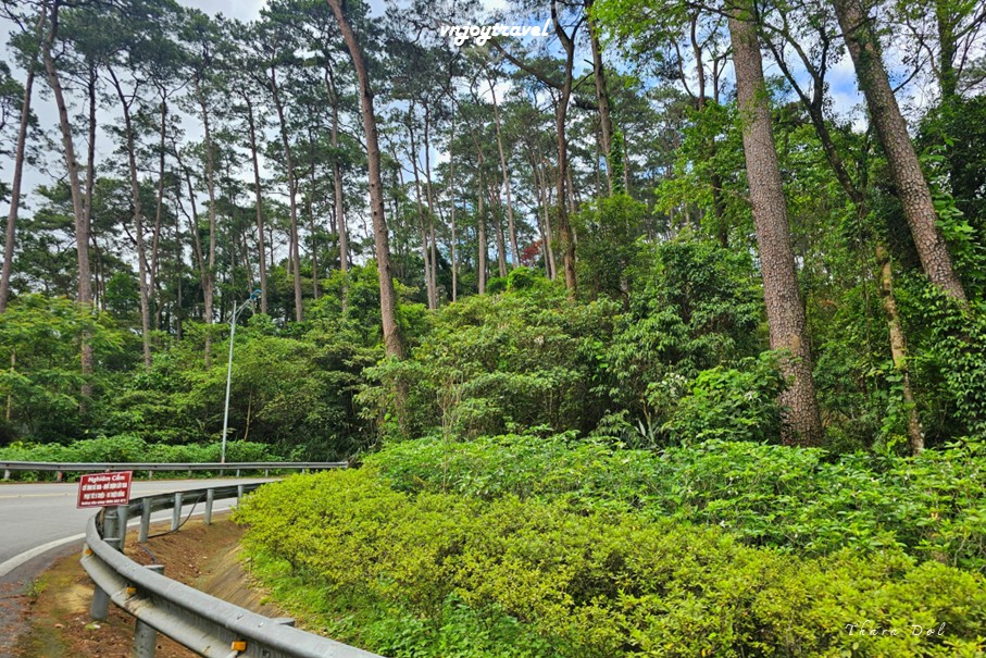 เที่ยวเวียดนาม vnjoytravel vietnam หวินห์ฟุก vinh phuc ตามด๋าว tam dao อุทยานแห่งชาติตามด๋าว vuon quoc gia tamdao national park